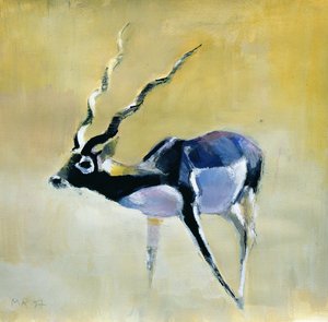 Black Buck、Velavadar、1997（紙のミクストメディア） 作： Mark Adlington