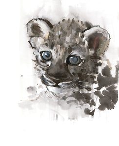 Blue Eyes（Arabian Leopard Cub）、2008年 作： Mark Adlington