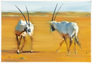 旋回するアラビアンオリックス、2010年（油彩・紙 作： Mark Adlington