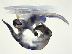 求愛（水彩・紙 作： Mark Adlington