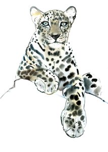ダイレクト（アラビアヒョウ）、2015年（水彩、ガッシュ、紙） 作： Mark Adlington
