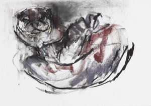 犬のカワウソ（木炭と紙のコンテ） 作： Mark Adlington