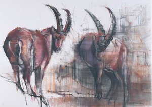 見下ろさない（紙の上に木炭とコント） 作： Mark Adlington