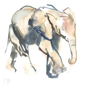 象の子牛、ロイサバ、2017年（紙に水彩画））。 作： Mark Adlington