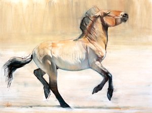 Equus（Przewalski）、2014、（紙にパステルと木炭）