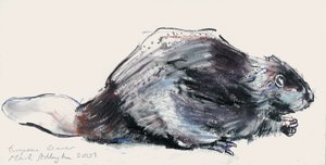 European Beaver（Study）2001（charcoal und conte on paper） 作： Mark Adlington