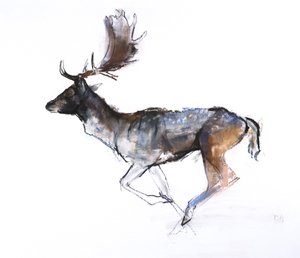 イブニングバック（ダマジカ）、2007、（パステルとコンテ紙） 作： Mark Adlington