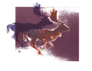 Fallow Bucks（orangelilac）、2015、（スクリーンプリント） 作： Mark Adlington