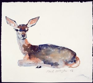 子鹿、2003年（インク・水彩・紙 作： Mark Adlington