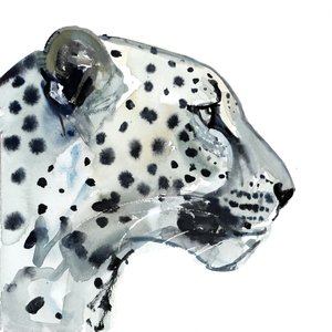 フォーカス、2015年（紙に水彩） 作： Mark Adlington