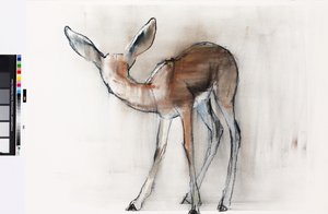 ガゼルフォーン（アラビアンガゼル）2010（紙に油彩） 作： Mark Adlington