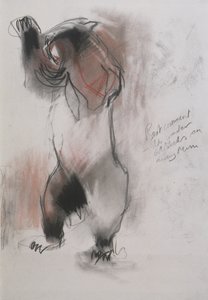 グリズリー、1995年（木炭、グラファイト、紙にコント） 作： Mark Adlington