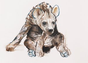 ハイエナの子犬（頭を下げて）、2019年 作： Mark Adlington