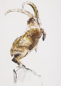 山の王2005 作： Mark Adlington