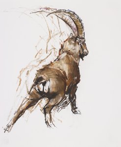 レッグストレッチ（木炭と紙の上のコント） 作： Mark Adlington
