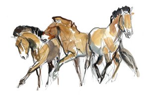 ミストラルスリー（Przewalski）、2013（sennelierインク、水彩、ガッシュ）