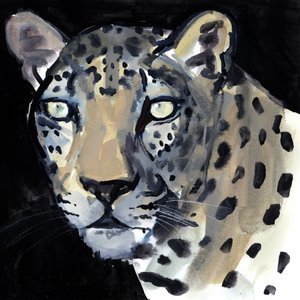 2015年の夜（紙に水彩） 作： Mark Adlington