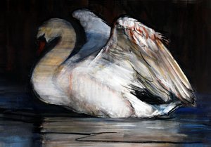 夜の白鳥、2022 作： Mark Adlington