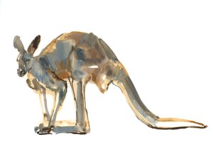オークルダステッド、（レッドカンガルー）、2012、（水彩と紙の上の顔料） 作： Mark Adlington