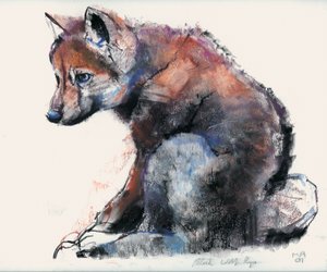 ポーランドのオオカミの子犬、2001年（木炭と紙のコンテ） 作： Mark Adlington