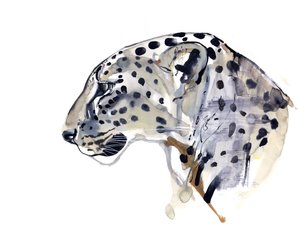 プロフィール（アラビアのヒョウ）、2008 作： Mark Adlington