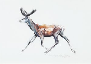 ベルベットでのクワガタの走り、ポルセン、2006（紙に木炭とコント） 作： Mark Adlington