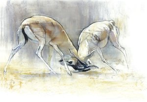 砂のガゼル」2009年（紙にコンテと木炭