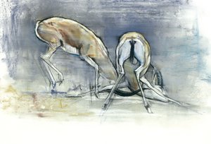 砂のガゼル、2009（紙にコンテと木炭） 作： Mark Adlington