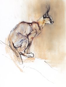 着席カラカル、2009（紙に炭と炭） 作： Mark Adlington