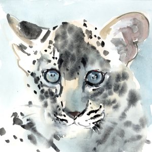 恥ずかしがり屋、2015、（水彩、紙） 作： Mark Adlington