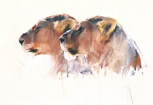 姉妹、エトーシャ、2017年 作： Mark Adlington