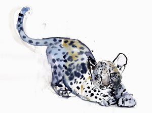 カブのストレッチング（アラビアのヒョウ）、2008 作： Mark Adlington