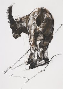 太陽、クロシェンビル、2005年（木炭と紙のコンテ） 作： Mark Adlington