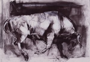 ホワイトブル（研究）、1998年（紙に木炭） 作： Mark Adlington