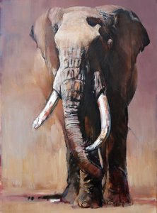 トファウティ（Chyulu Hills）、2018年 作： Mark Adlington