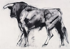 Toro Azul、研究（木炭紙） 作： Mark Adlington