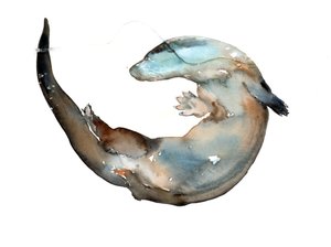 不明なタイトル 作： Mark Adlington