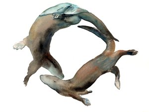 不明なタイトル 作： Mark Adlington