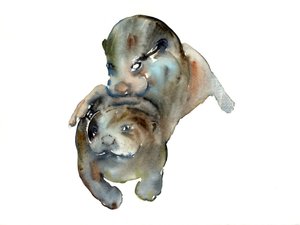 不明なタイトル 作： Mark Adlington
