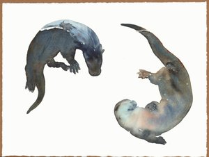 不明なタイトル 作： Mark Adlington