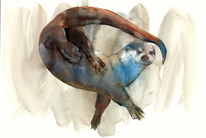 不明なタイトル 作： Mark Adlington