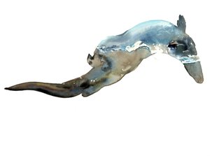 不明なタイトル 作： Mark Adlington