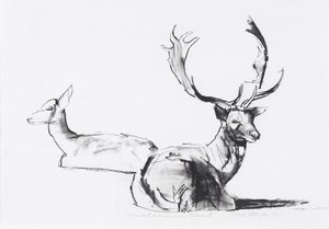 予期せぬ秋の日（木炭） 作： Mark Adlington
