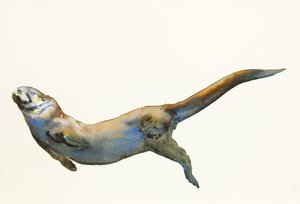 ベルベット、2014、（紙に水彩） 作： Mark Adlington