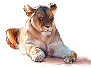 ヨギ・ライオネス、2019年 作： Mark Adlington