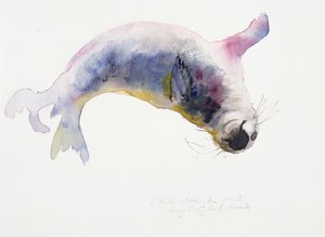 若い灰色のシール、Gweek、2003 作： Mark Adlington