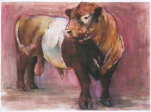 Zeus、Red Belted Galloway Bull、2006（紙のミクストメディア） 作： Mark Adlington