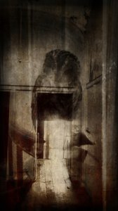 美女は魔女」シリーズ エルヴァストン城...「扉に映るフクロウ」（写真あり） 作： マーク・ゴードン