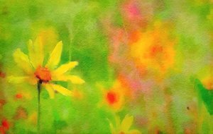 雨上がりの夏の日 作： マーク・ゴードン