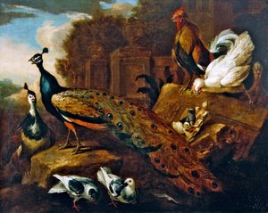 孔雀や鳩などの鳥類と古典的な建物（油彩・キャンバス） 作： Marmaduke Craddock